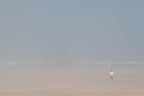 mist  fog  beach