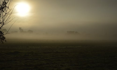 mist  dawn  autumn