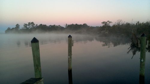 mist lake nature