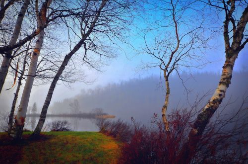mist landscape morning