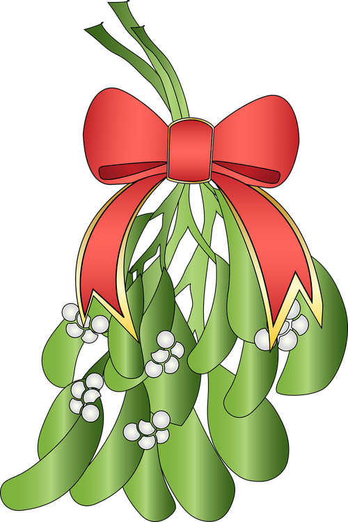 mistletoe  plant christmas  plant