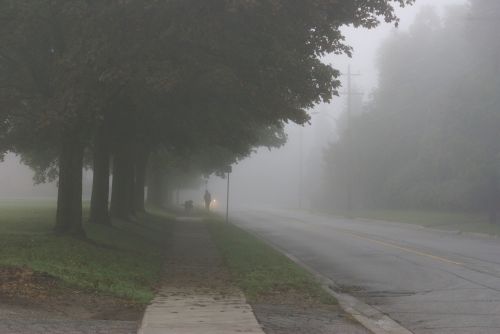 misty morning foggy