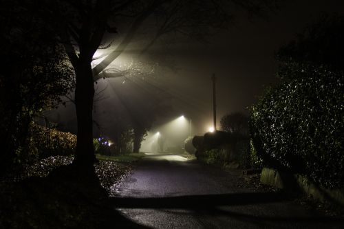 misty lane foggy