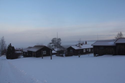 misty morning all white