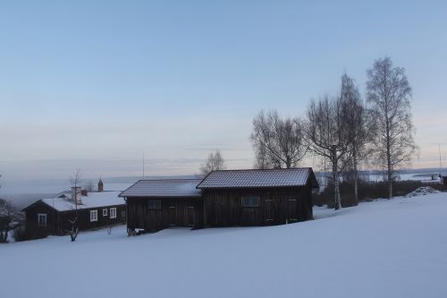 misty morning all white