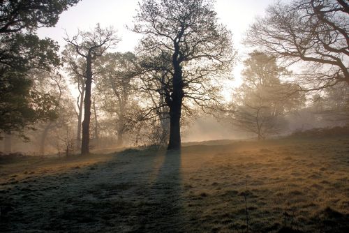 misty morning sunrise