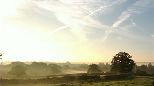 Misty Countryside In Morning