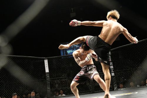 mixed martial arts sport kick