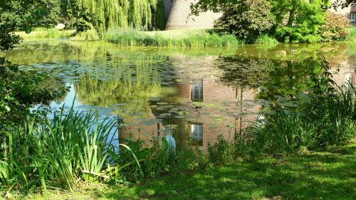 moated castle moat nature