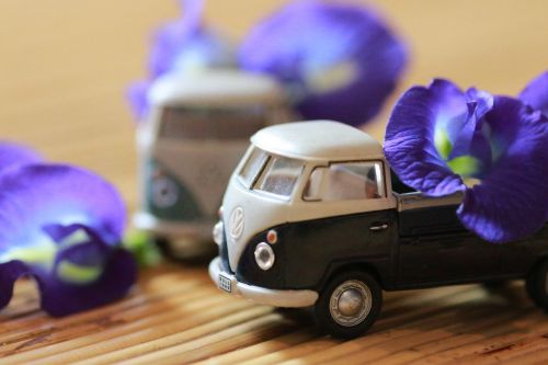 model car flower indoor