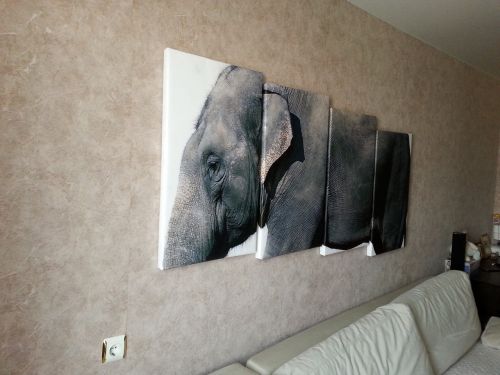 modular painting elephant animals