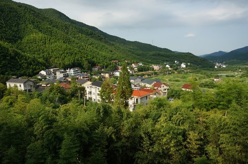 moganshan  summer  mountainside