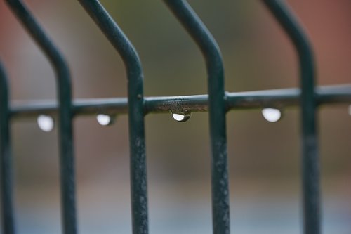 moisture  drops of water  drops