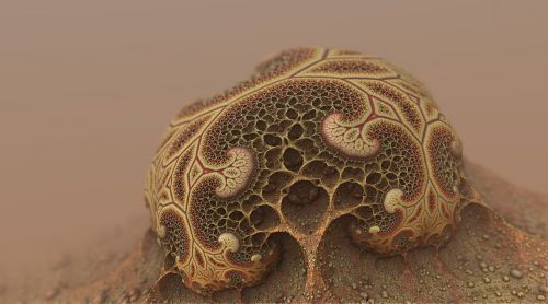 mold bacteria fungus