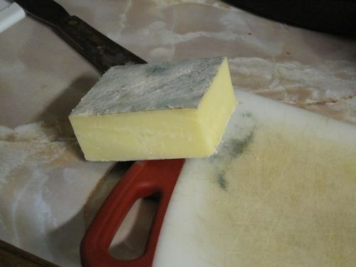 mold on cheese
