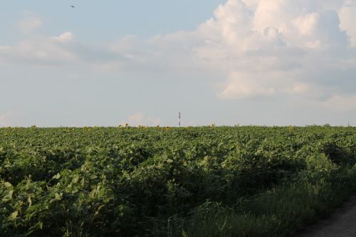 moldova balti nature