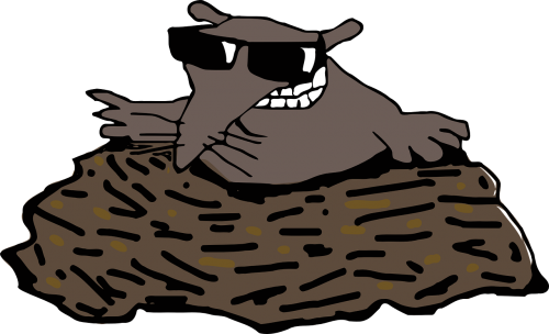 mole molehill animal