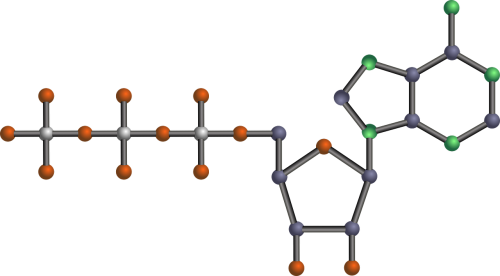 molecule nucleotide atp