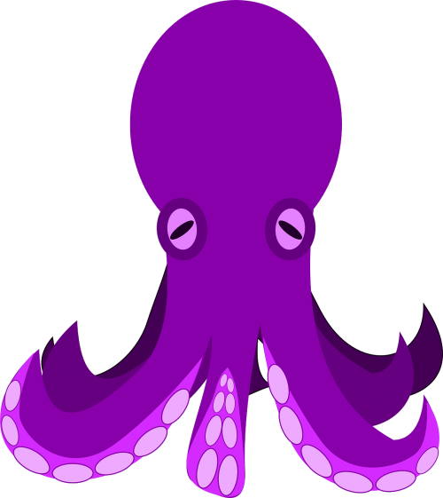 mollusk octopus purple