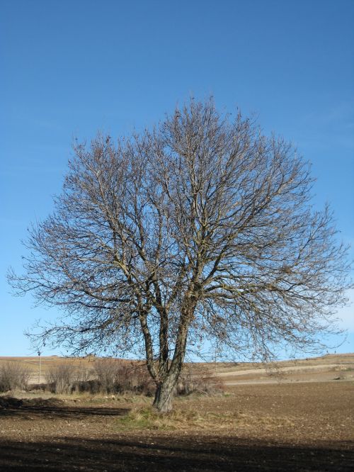 moncayo augustobriga arekorata