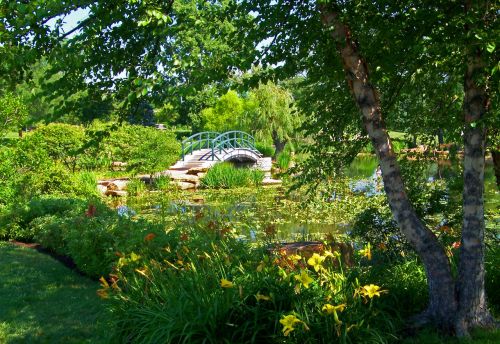 Monet Bridge In Park