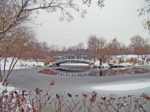 Monet Bridge In Snow-covered Park