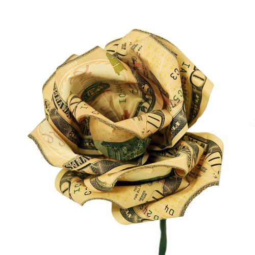 money flower rose