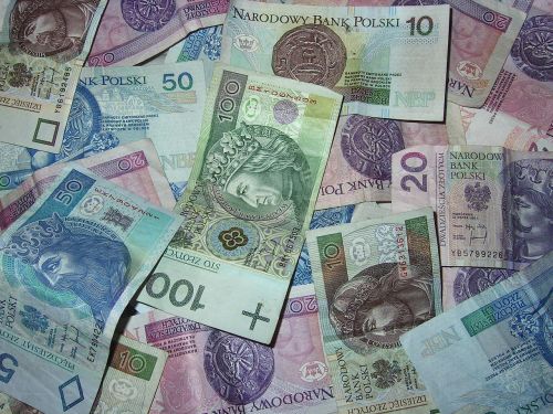 money polish banknotes buck