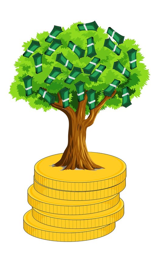 money  money tree  make money