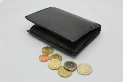 money wallet euro