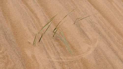 mongolia desert structure