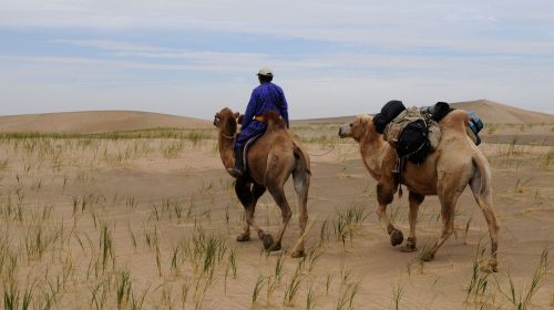 mongolia desert nomad