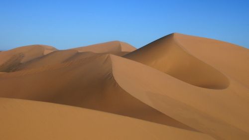mongolia sand dune desert landscape