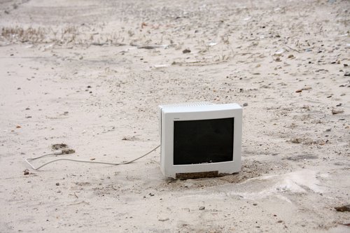 monitor on the beach  washed up on  beach