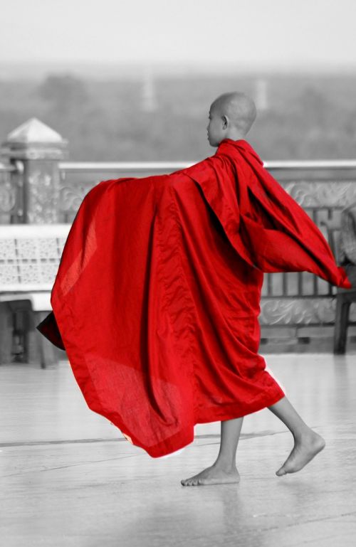 monk burma myanmar