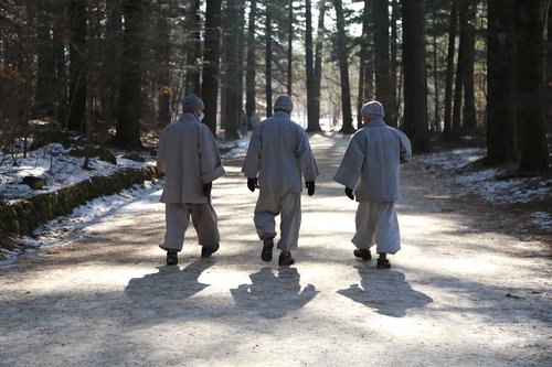monk  monks  walk
