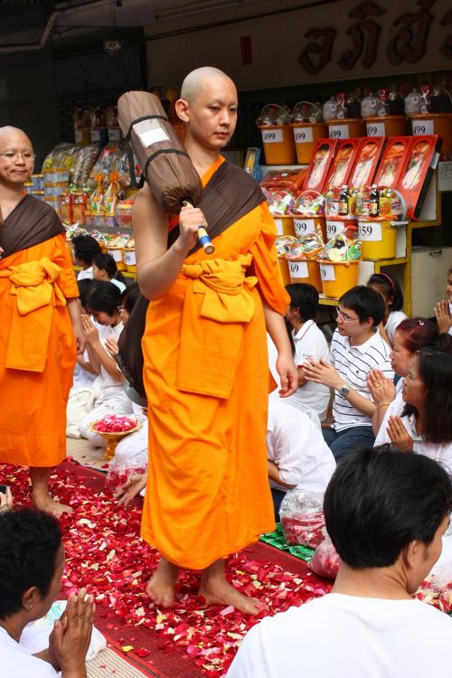 monk buddhists monk walk