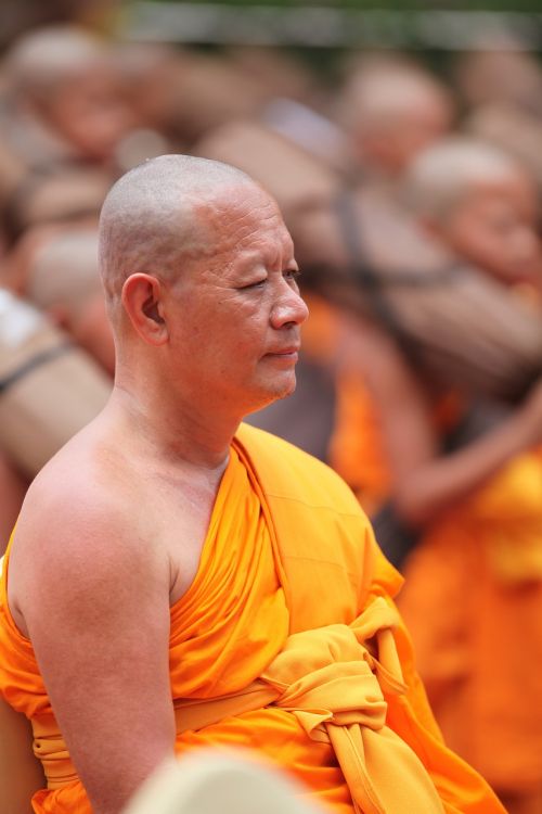 monk buddhist meditate
