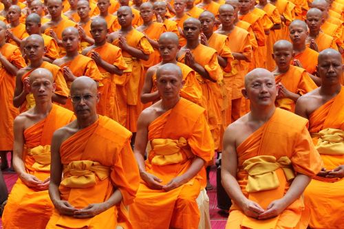 monk buddhists sitting