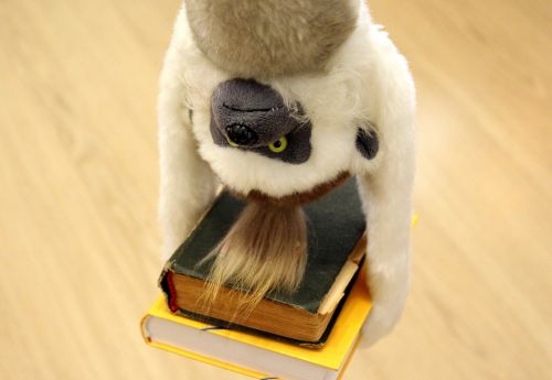 monkey books hang