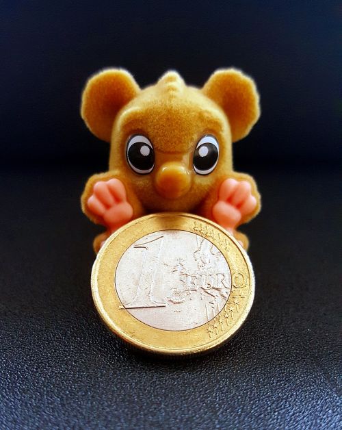 monkey euro coin