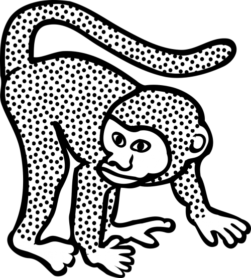 monkey animal ape