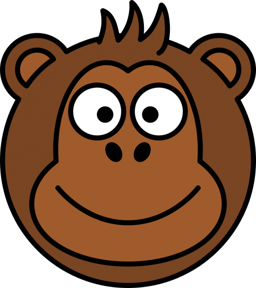 monkey ape face
