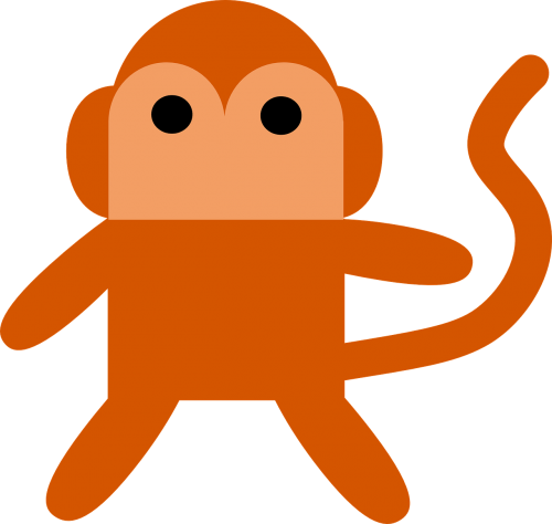 monkey orange mammal