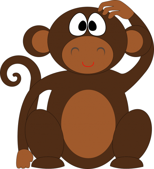 monkey chimp ape