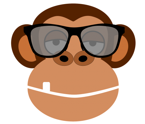 monkey intelligent glasses