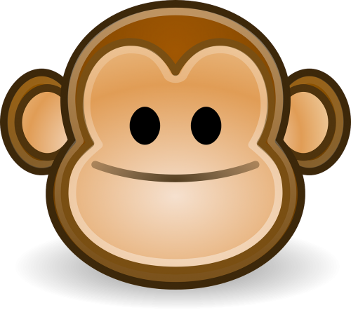 monkey smile happy