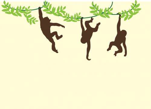 monkeys swinging hanging