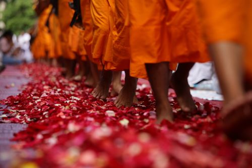 monks buddhists walk