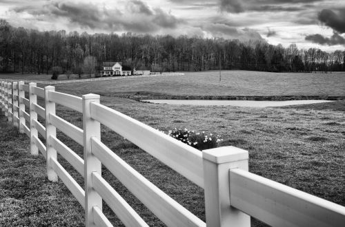 monochrome black and white fence